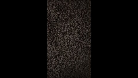 Test 2