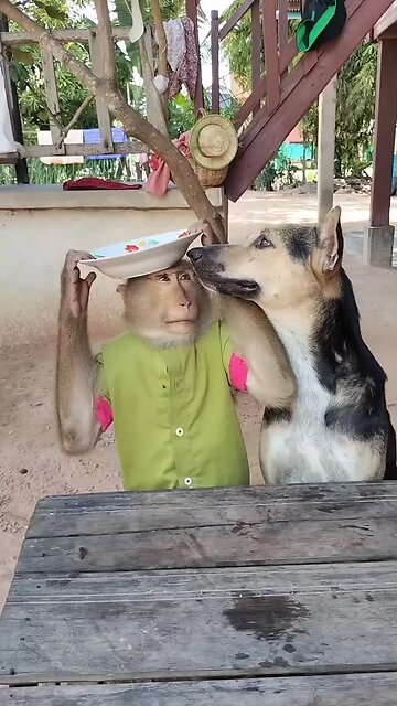 Perfect video SokYaa, OG, Pao & Mom Are Famous Around The World #shorts #anime #trend #edit