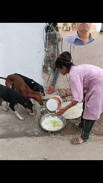 jivdaya mehsana Gujarat