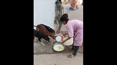 jivdaya mehsana Gujarat