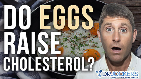 What's the Dark Side of Eggs That No One Talks About?