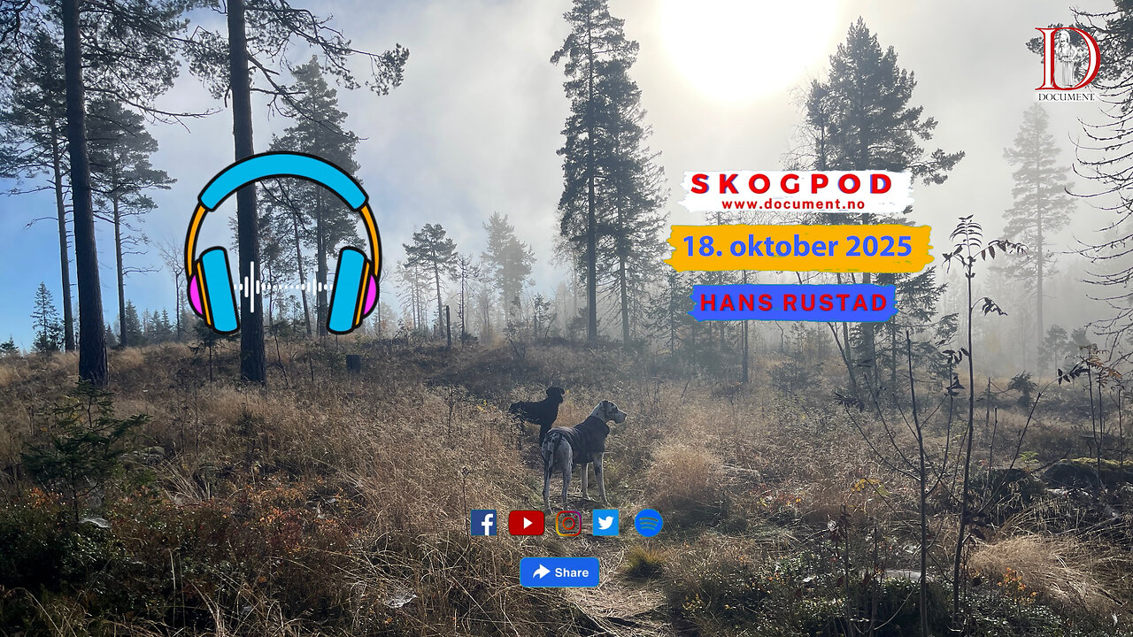 Skogpod 18. oktober 2025