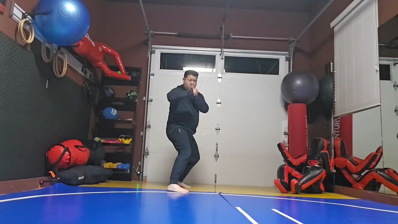 WTD Crescento Kick to Lotus Kick sequential