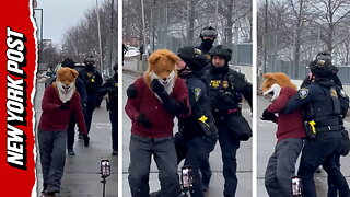 Watch dancing fox get demonstrator taken down by ICE