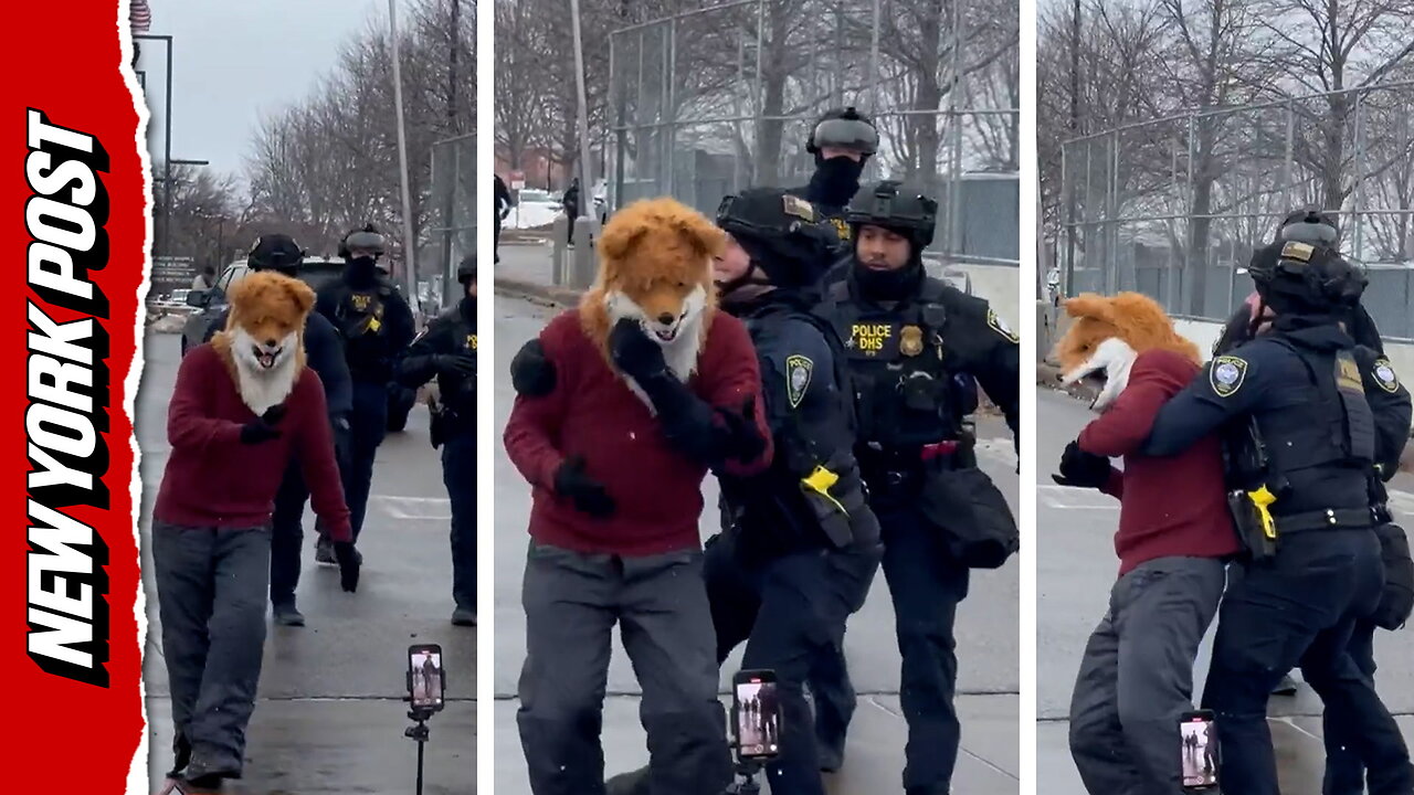 Watch dancing fox get demonstrator taken down by ICE