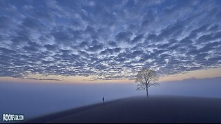 II XVI MMXXVI - the internet isn't a real place