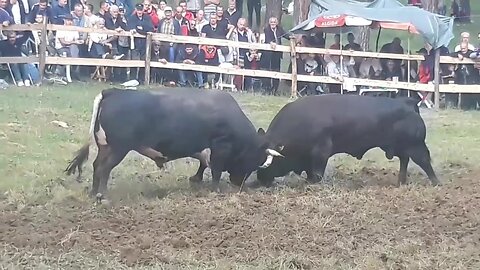 FANTOM VS MITRALJEZ