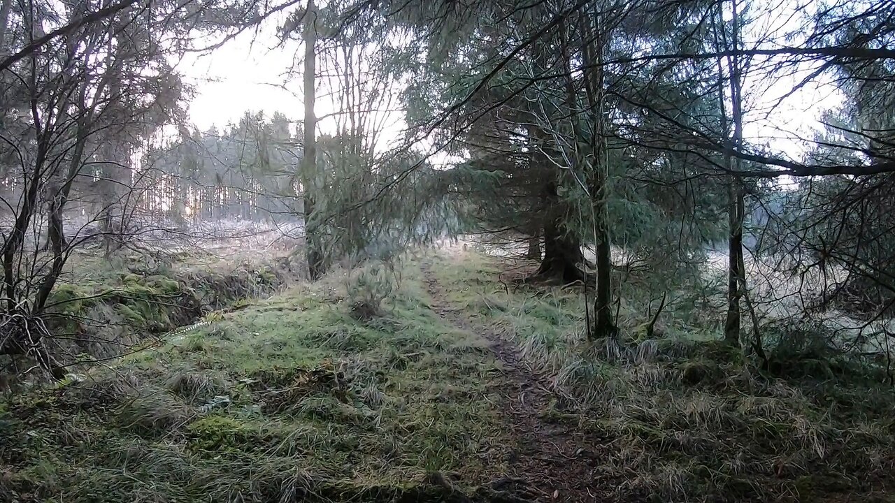 First nice day for 3 weeks - A solo walk, with a GoPro 7