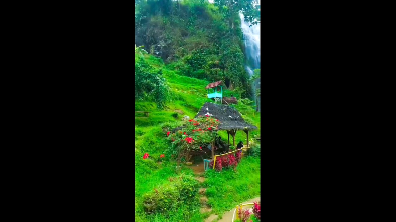 Nature tour in green meadows and attractive landscapes 😍🌿🌺😍