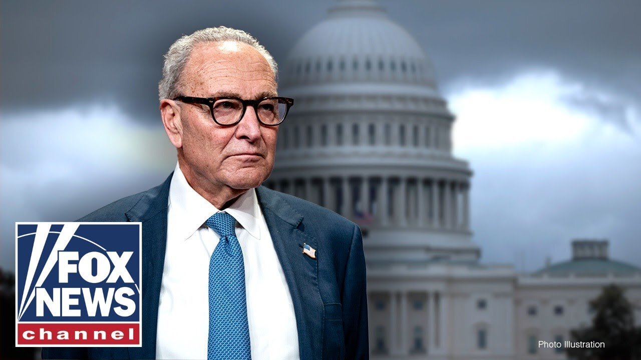 ‘IT’S GOT TO END’: Scalise CALLS OUT Schumer over shutdown stalemate