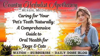 Caring for Your Pet’s Teeth Naturally A Comprehensive Guide to Oral Health for Dogs and Cats
