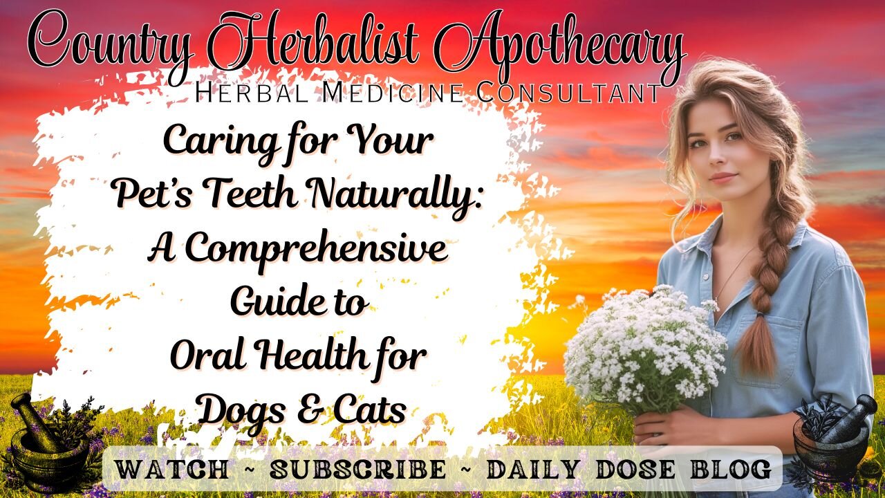 Caring for Your Pet’s Teeth Naturally A Comprehensive Guide to Oral Health for Dogs and Cats