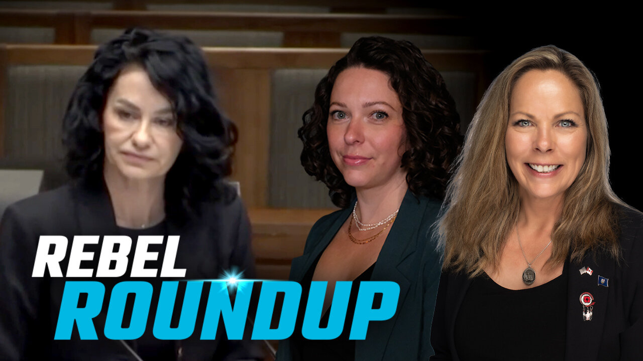 Rebel at Heritage Committee, Climate change & civil collapse, Ireland has had enough | Rebel Roundup