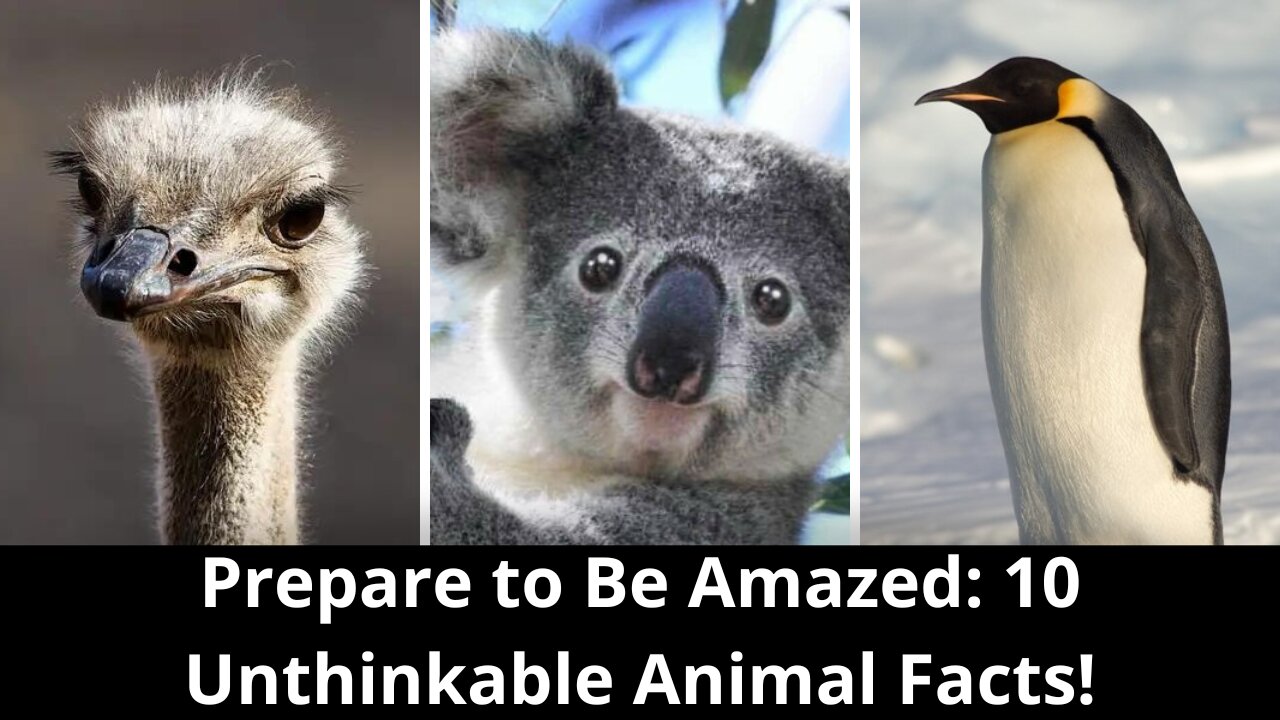 Prepare to Be Amazed: 10 Unthinkable Animal Facts!