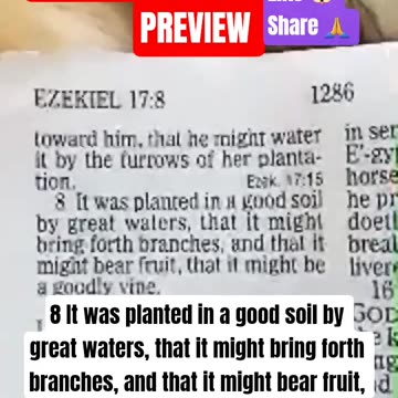 Livestream Preview Ezekiel #ch 17:8 KJV It Was Planted in Good Soil #faith #biblestudy #short #pre