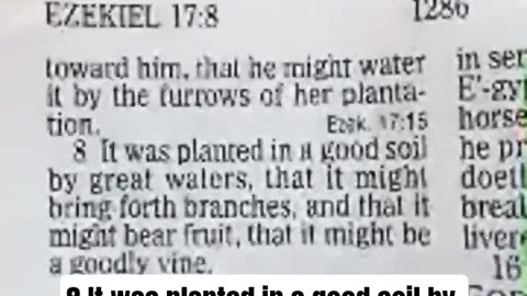 Livestream Preview Ezekiel #ch 17:8 KJV It Was Planted in Good Soil #faith #biblestudy #short #pre