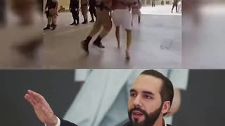 He who spares the wolf sacrifices the sheep.