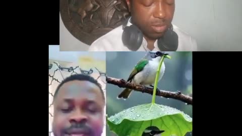 INTERNATIONAL MEN’S DAY 2025 — CELEBRATING STRENGTH, RESPONSIBILITY & PURPOSE #duet