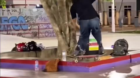 🤯🛹 Bro Skated the Whole Spot! | SkateNation