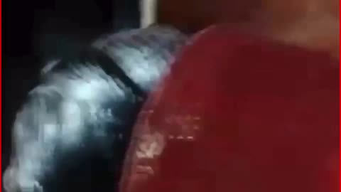 Boyfriend Locked in Trunk for 45 Minutes: Love Affair Sparks Chaos in Kanpur Home