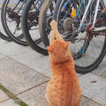 Unexplained flat tires and slow leaks 😂