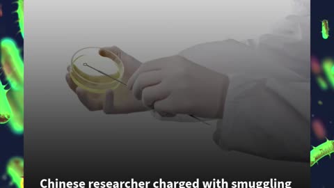 Chinese researcher charged with smuggling E. coli into U.S. under academic visa