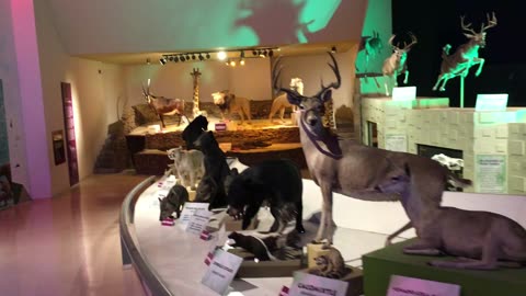 Chihuahuan Desert Museum 6 (Saltillo, Coahuila, Mexico)