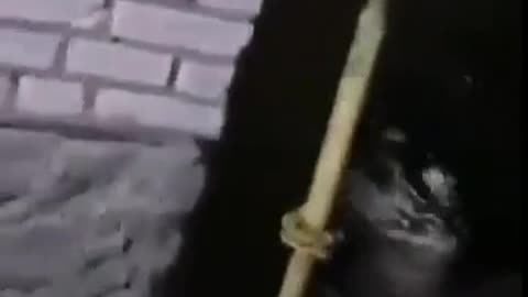 🛸🇺🇦 Ukraine Russia War | Russian Civilians Capture Ukrainian UAV Attack | RCF