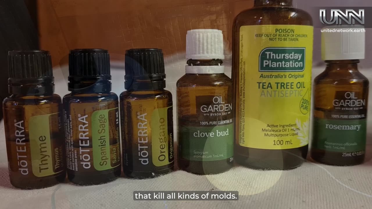 Experiencing allergies, fatigue, or illness? Helen shares tips to make your home mold-free naturally