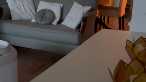 ✨Morning Rant 💿💫