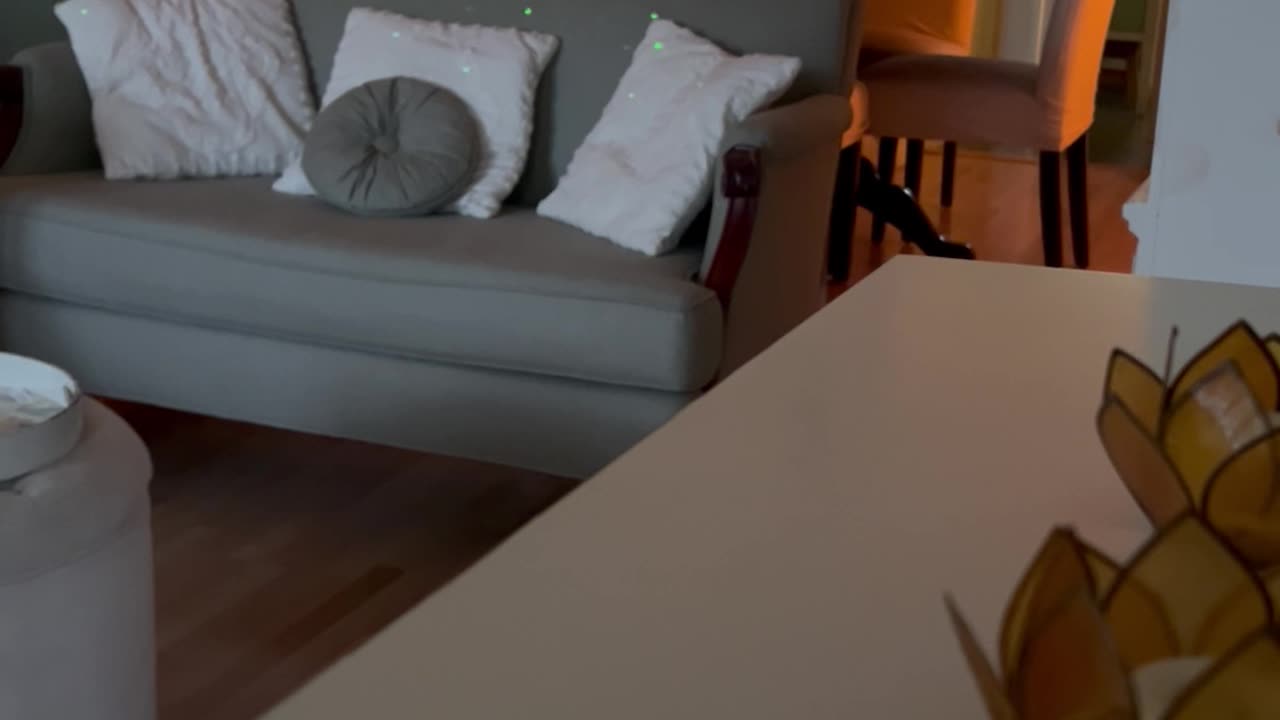 ✨Morning Rant 💿💫