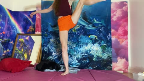 Solitary Confinement - Everyday Yoga #everydamnday @AlanRoberts