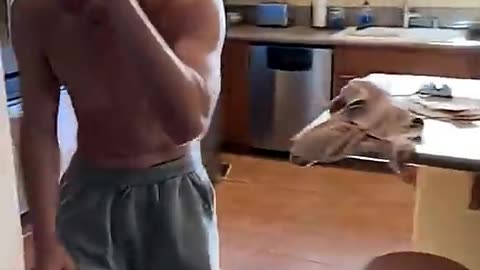 When You Trust the Bleach More Than the Process