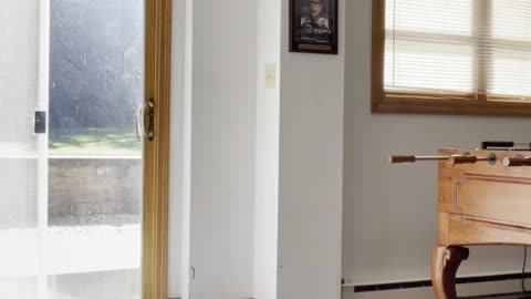 Exercising Everyday till I'm fit Day 4