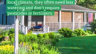 3 Benefits of Adding Native Plants to Your Yard. LarryBroker.com – Larry@LarryGallegos.com