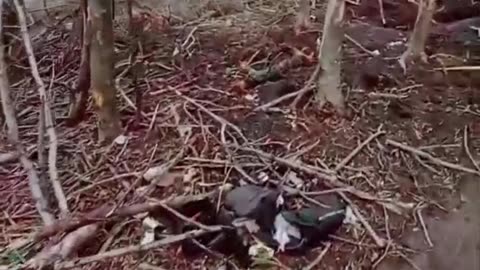 Ukraine war combat/related footage 12/28/2025