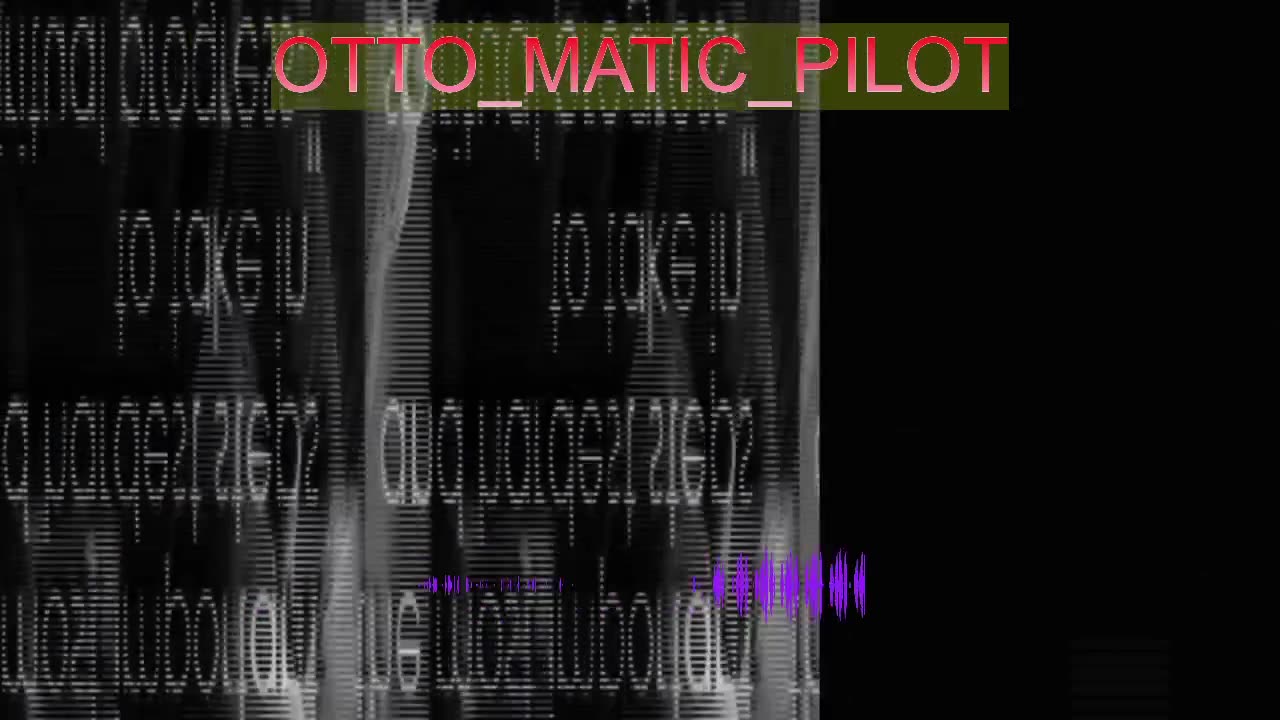 Otto_Matic_Pilot
