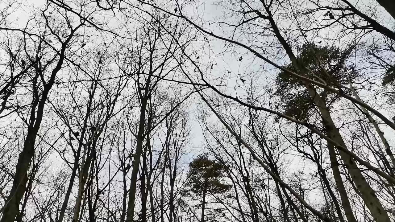 wolnośc od pochwał... wolnośc od krytyki...