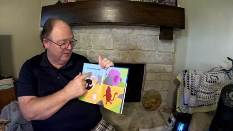 Animal Time Hide And Peek