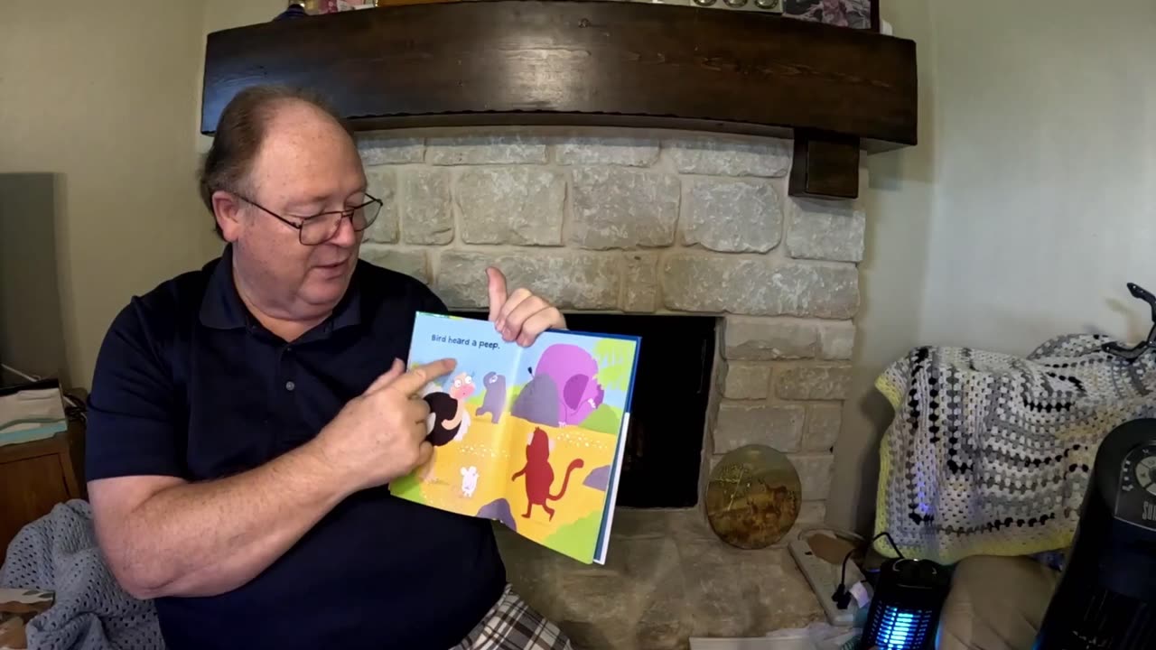 Animal Time Hide And Peek