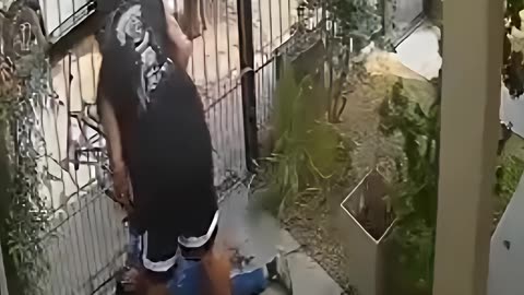 Bike Thief Gets Caught