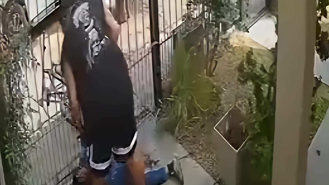 Bike Thief Gets Caught