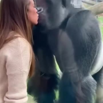 Haha 🤣 TOO FUNNY 😂