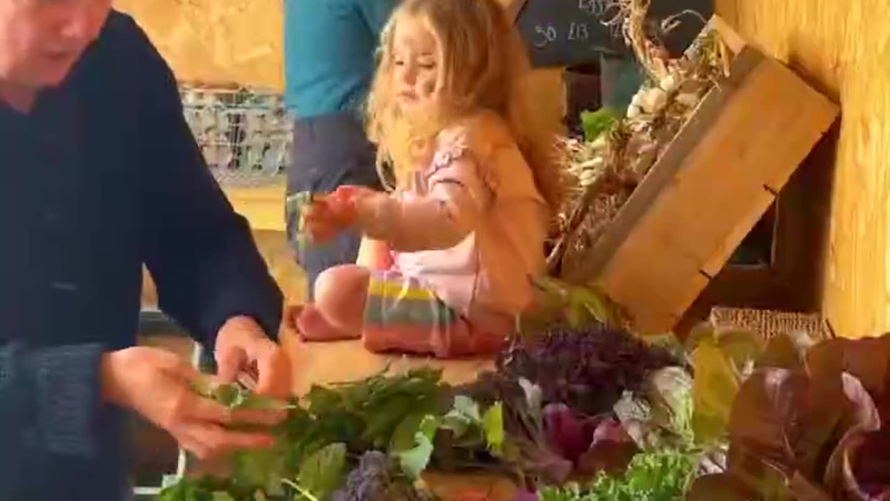 Homeschooling is the only way