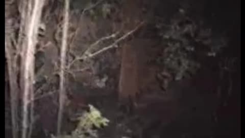 😨💥 Poltergeist Caught Throwing Objects in Kitchen! Scary Comp.12 | TheHauntingHour