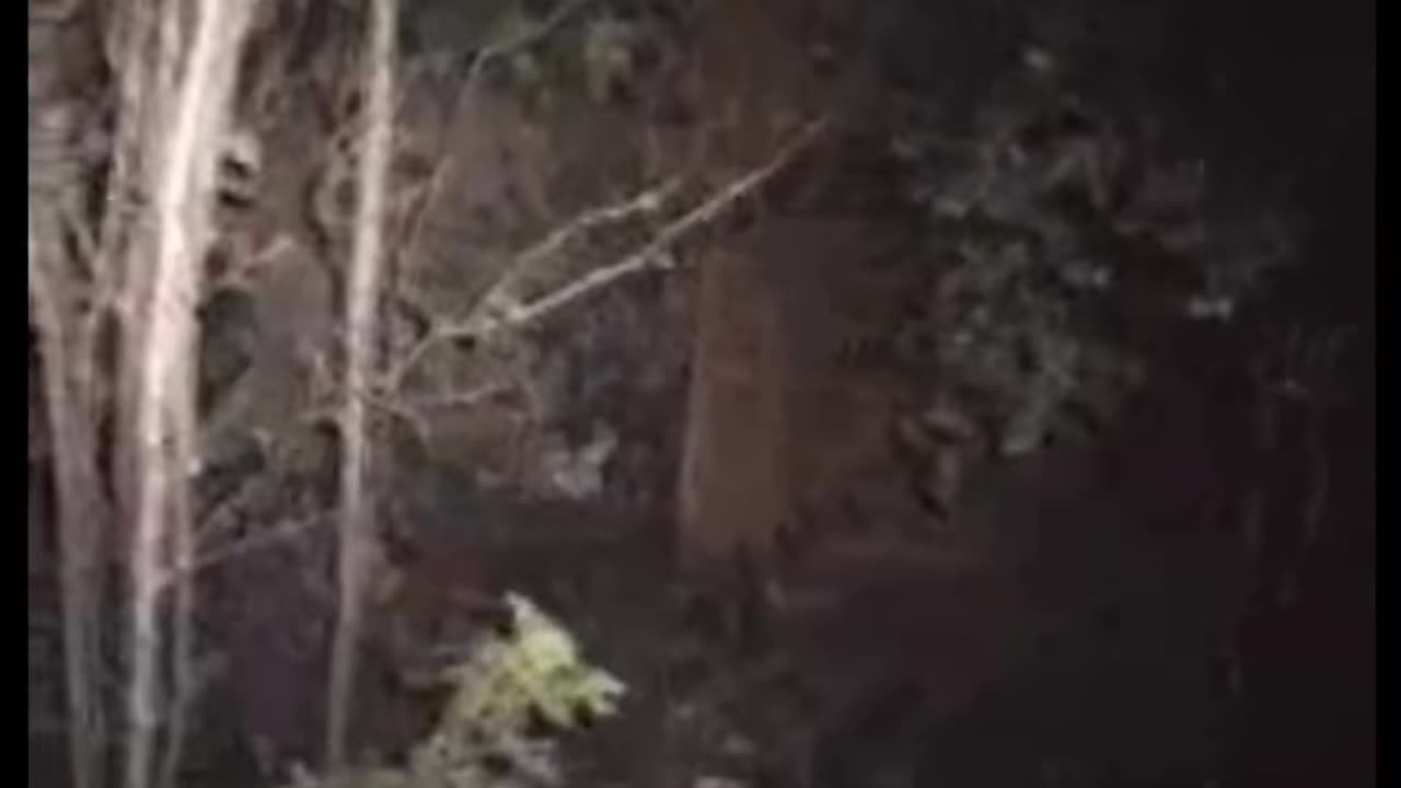 😨💥 Poltergeist Caught Throwing Objects in Kitchen! Scary Comp.12 | TheHauntingHour