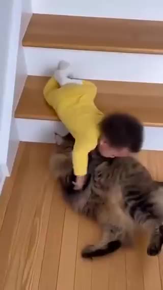 ネコちゃんが赤ちゃんをナイスセーブ！