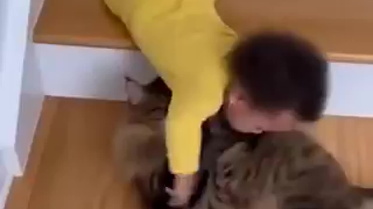 ネコちゃんが赤ちゃんをナイスセーブ！