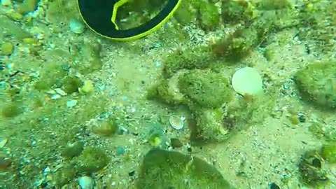 Found Jewelry Money & Deadly Weapon Underwater