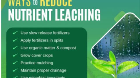 Best Insecticide Products by NACL Industries | Agrochemicals